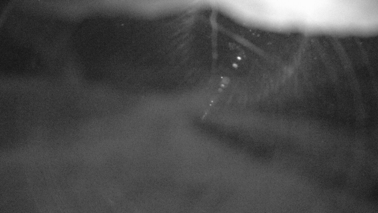 Webcam en Zona Media, Fuentes de Invierno (Cordillera Cant&aacute;brica)